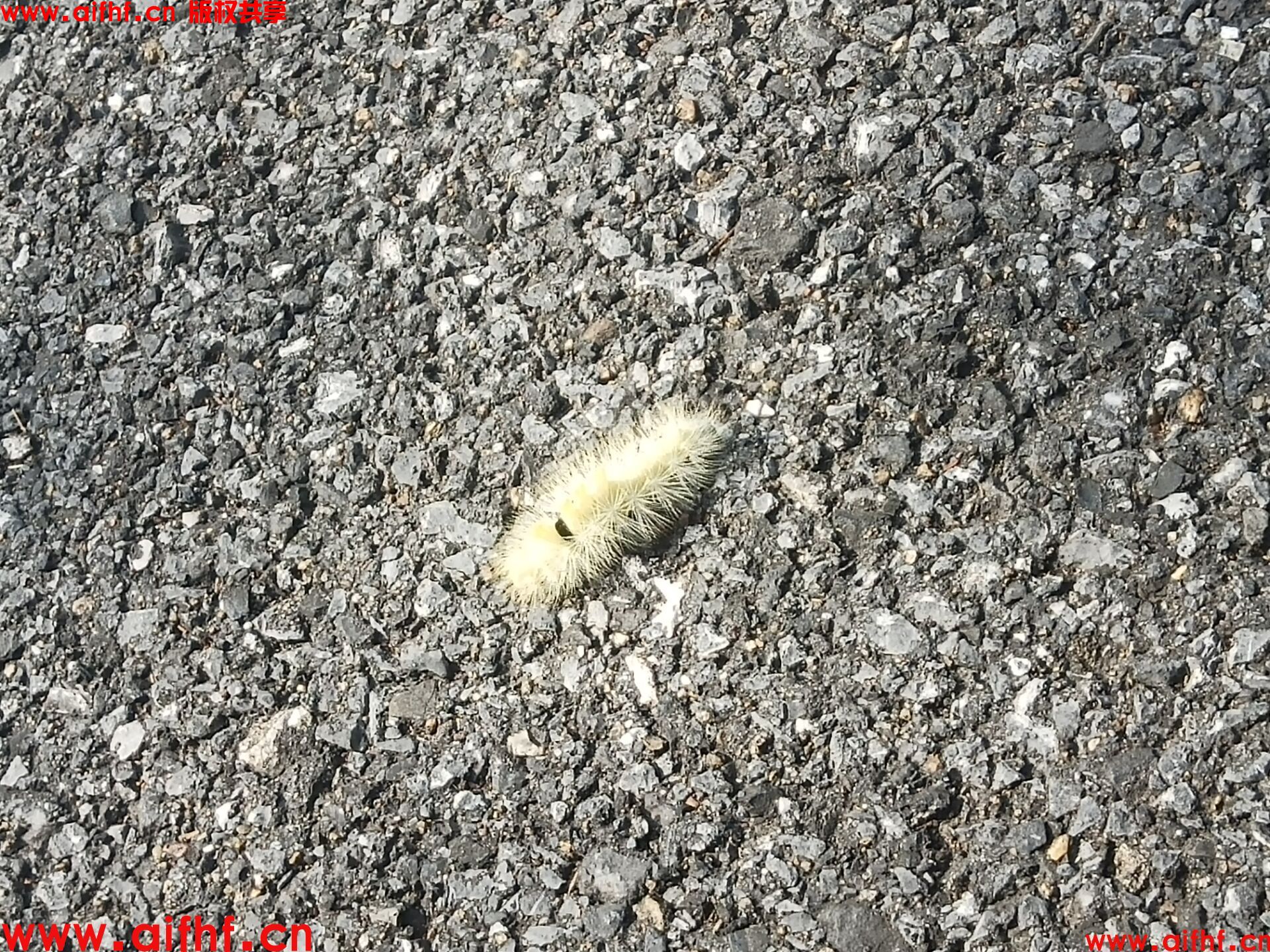 1-230G31R631C6.jpg