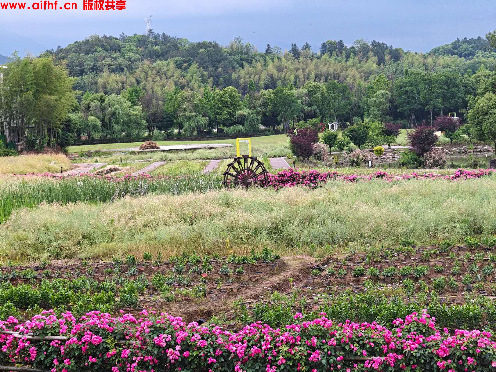 肖永进:游玩风景