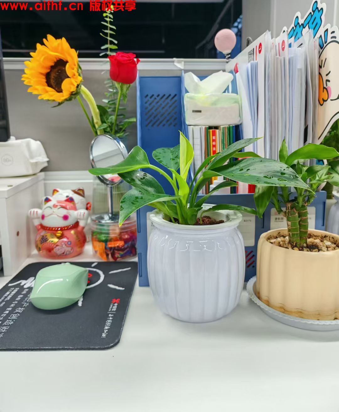 独一无二的宝:新办公室，新氛围！