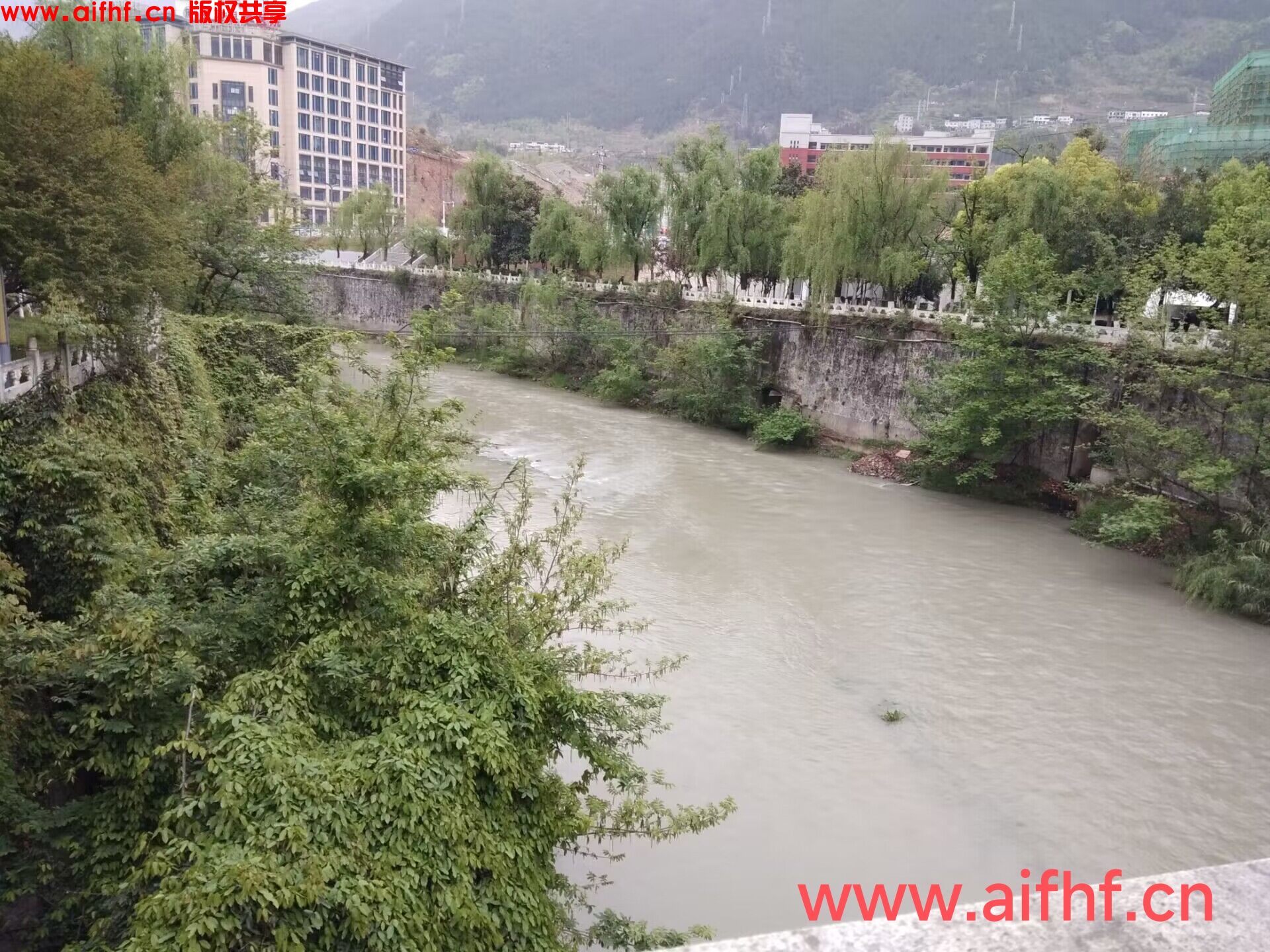 EU-la:晨跑在桥上遇见你